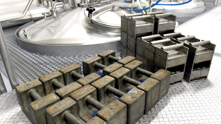 Insacal Batchrig Weights